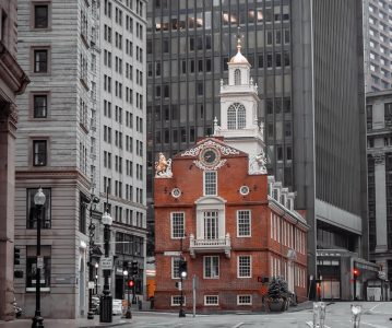 The 7 Best Magic Mushroom Stores in Boston, MA (2026 Rankings)